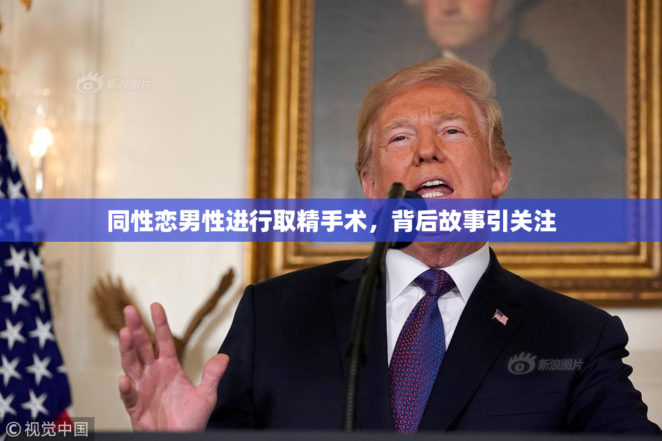 同性恋男性进行取精手术，背后故事引关注