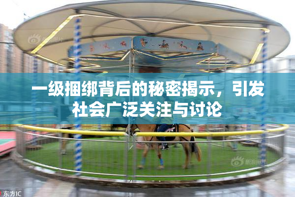 一级捆绑背后的秘密揭示，引发社会广泛关注与讨论