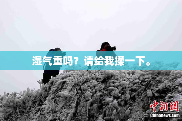 湿气重吗？请给我揉一下。