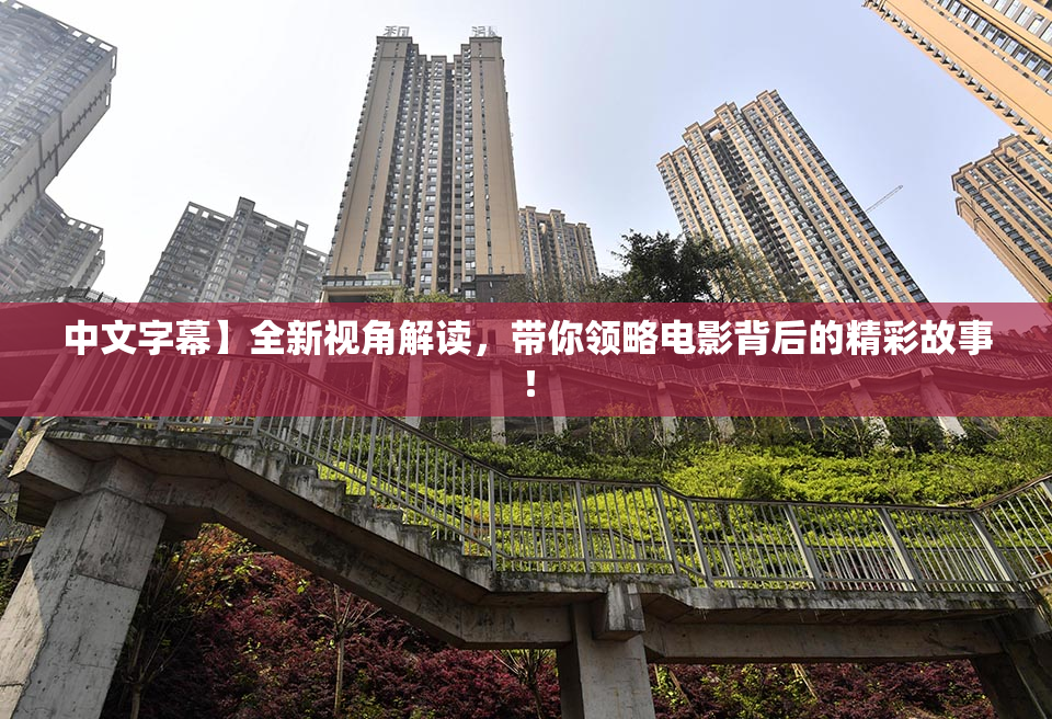 中文字幕】全新视角解读，带你领略电影背后的精彩故事！