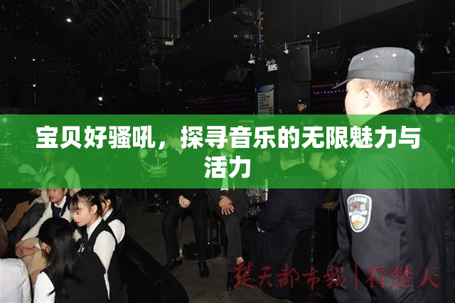 宝贝好骚吼，探寻音乐的无限魅力与活力