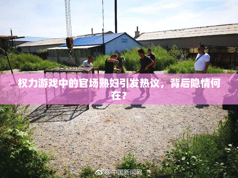 权力游戏中的官场熟妇引发热议，背后隐情何在？