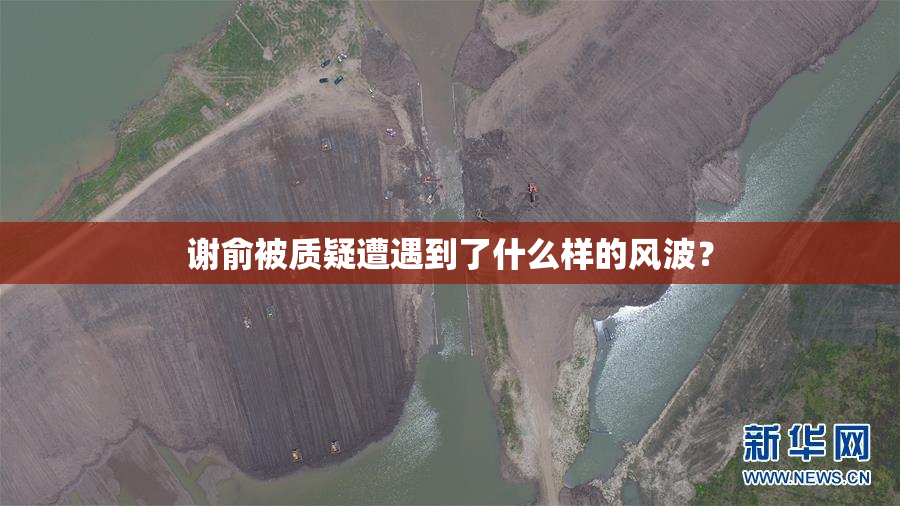 谢俞被质疑遭遇到了什么样的风波？