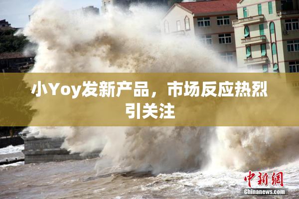 小Yoy发新产品，市场反应热烈引关注