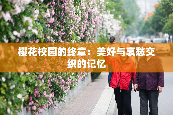 樱花校园的终章：美好与哀愁交织的记忆