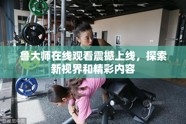 鲁大师在线观看震撼上线，探索新视界和精彩内容