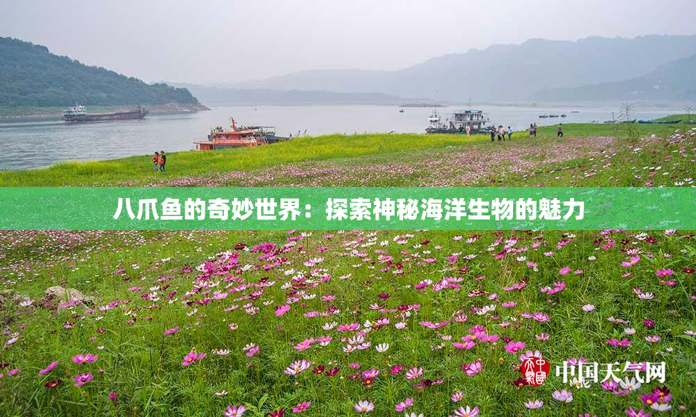 八爪鱼的奇妙世界：探索神秘海洋生物的魅力