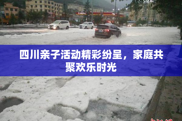 四川亲子活动精彩纷呈，家庭共聚欢乐时光