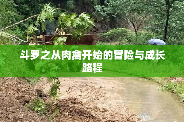 斗罗之从肉禽开始的冒险与成长路程