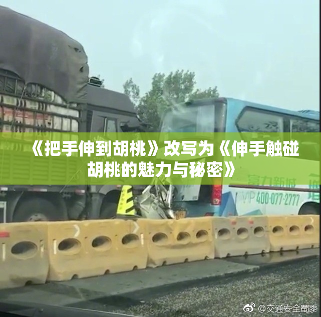 《把手伸到胡桃》改写为《伸手触碰胡桃的魅力与秘密》