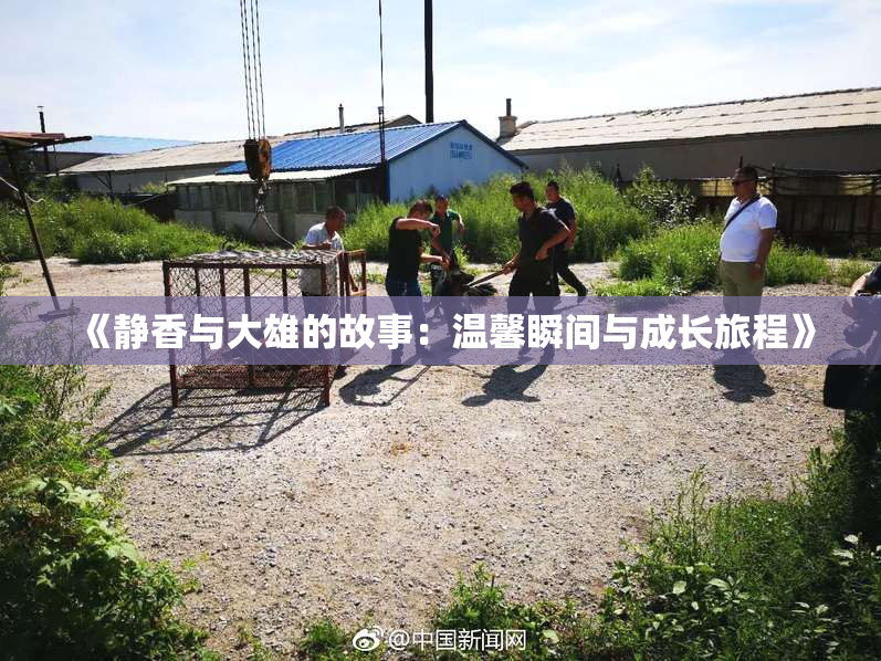 《静香与大雄的故事：温馨瞬间与成长旅程》