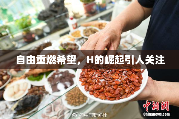 自由重燃希望，H的崛起引人关注