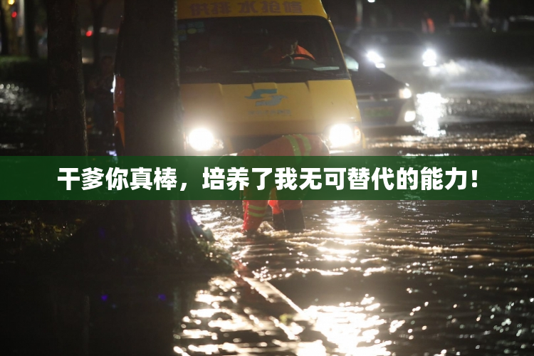 干爹你真棒，培养了我无可替代的能力！