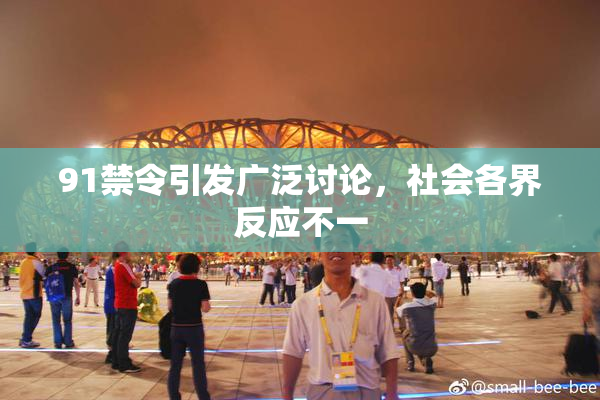 91禁令引发广泛讨论，社会各界反应不一