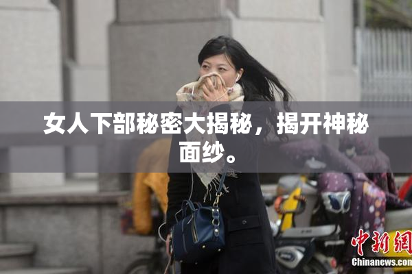 女人下部秘密大揭秘，揭开神秘面纱。