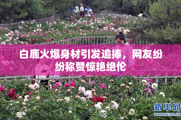 白鹿火爆身材引发追捧，网友纷纷称赞惊艳绝伦