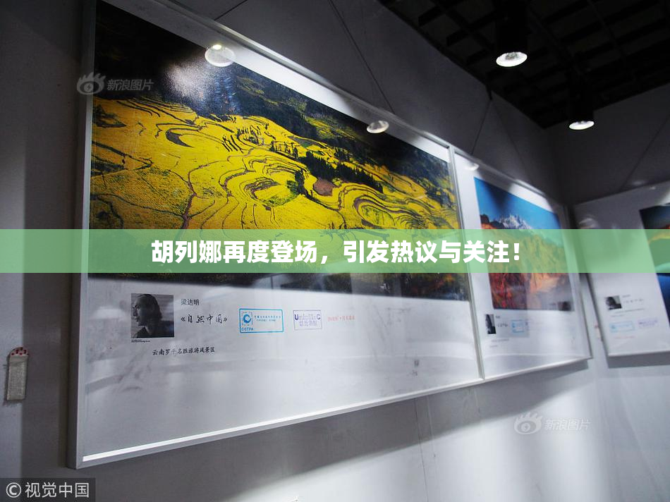 胡列娜再度登场，引发热议与关注！