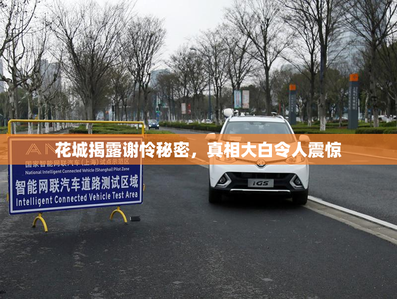 花城揭露谢怜秘密，真相大白令人震惊