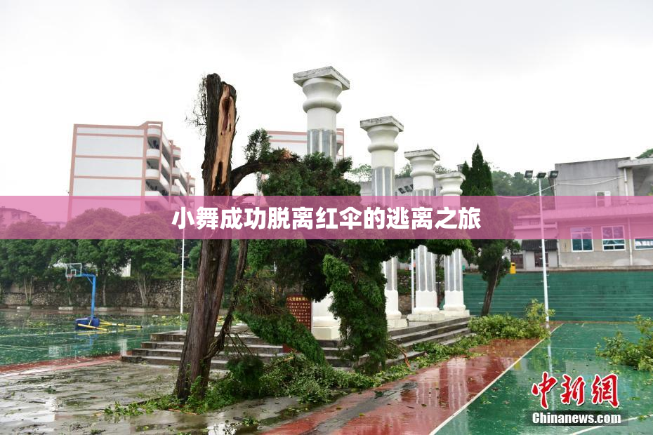 小舞成功脱离红伞的逃离之旅