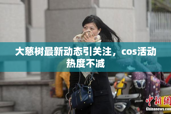 大慈树最新动态引关注，cos活动热度不减
