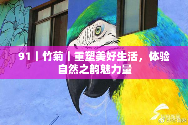 91丨竹菊丨重塑美好生活，体验自然之韵魅力量