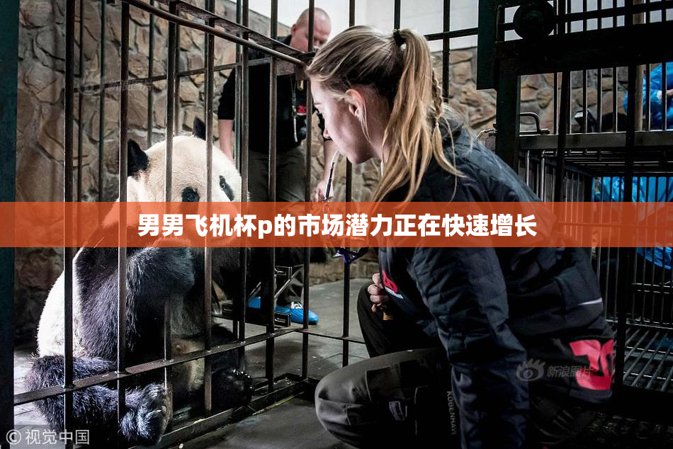 男男飞机杯p的市场潜力正在快速增长