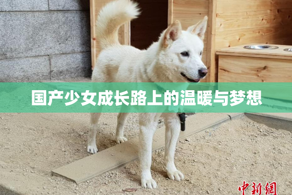 国产少女成长路上的温暖与梦想