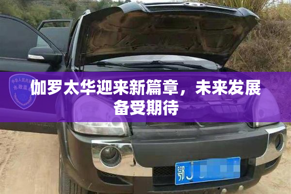 伽罗太华迎来新篇章，未来发展备受期待