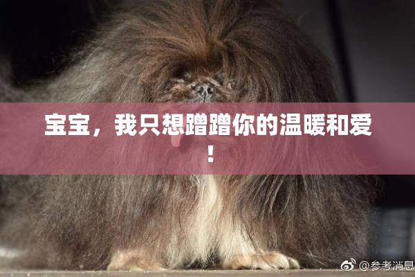 宝宝，我只想蹭蹭你的温暖和爱！