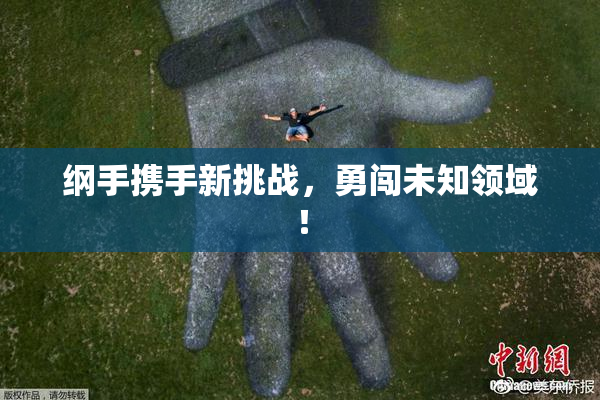 纲手携手新挑战，勇闯未知领域！