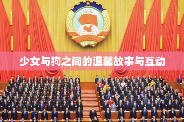 少女与狗之间的温馨故事与互动