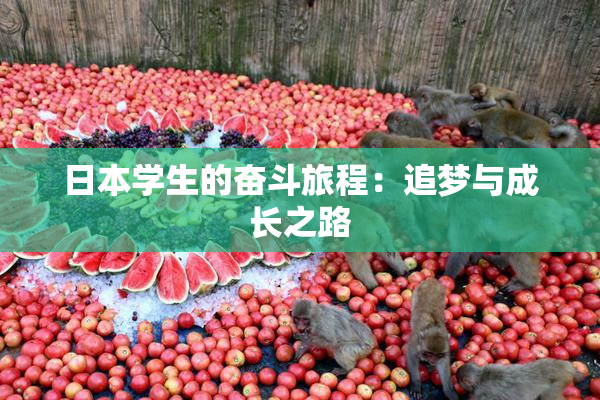 日本学生的奋斗旅程：追梦与成长之路