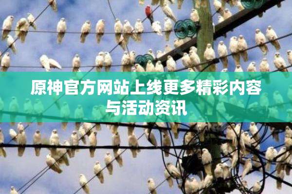 原神官方网站上线更多精彩内容与活动资讯
