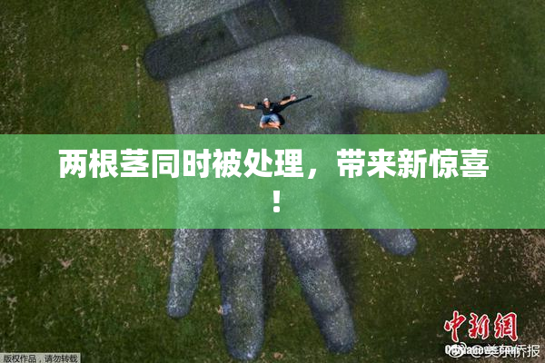 两根茎同时被处理，带来新惊喜！