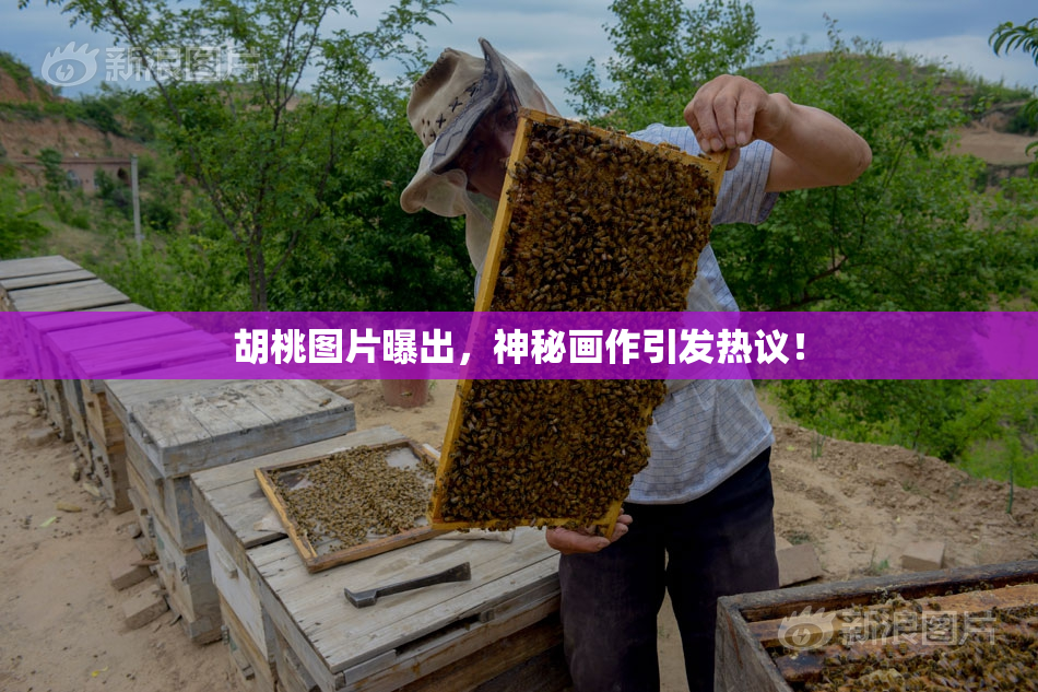 胡桃图片曝出，神秘画作引发热议！