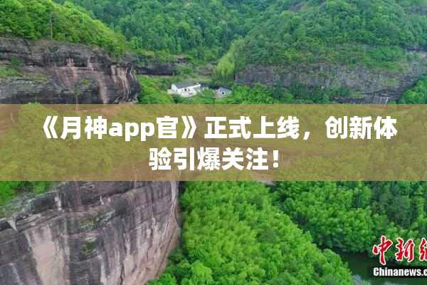 《月神app官》正式上线，创新体验引爆关注！