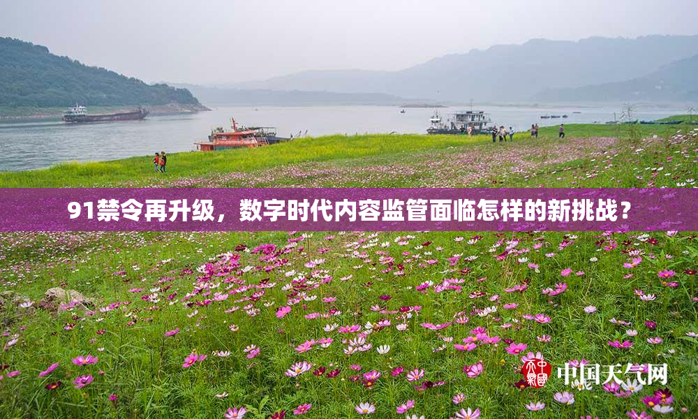 91禁令再升级，数字时代内容监管面临怎样的新挑战？