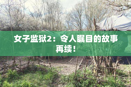 女子监狱2：令人瞩目的故事再续！