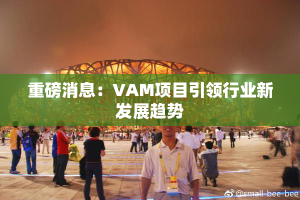 重磅消息：VAM项目引领行业新发展趋势