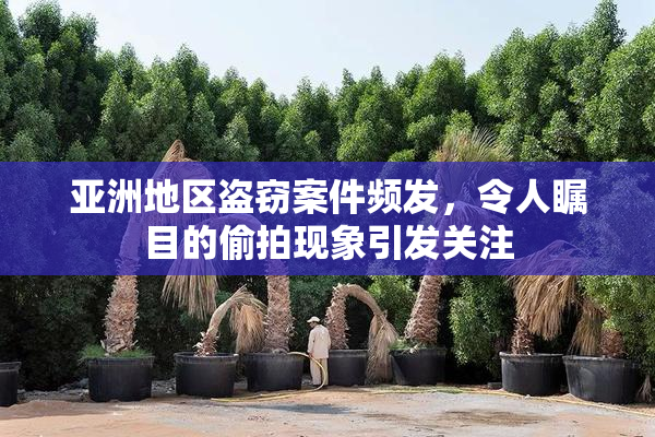 亚洲地区盗窃案件频发，令人瞩目的偷拍现象引发关注