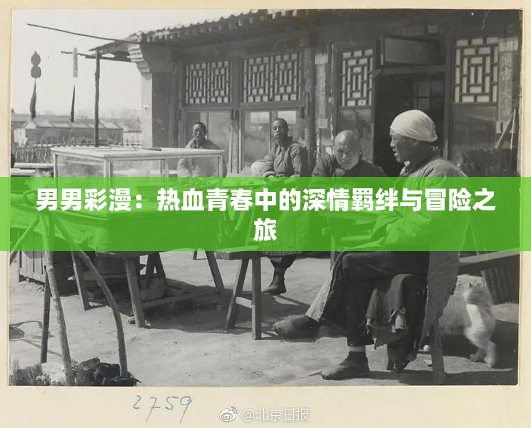 男男彩漫：热血青春中的深情羁绊与冒险之旅
