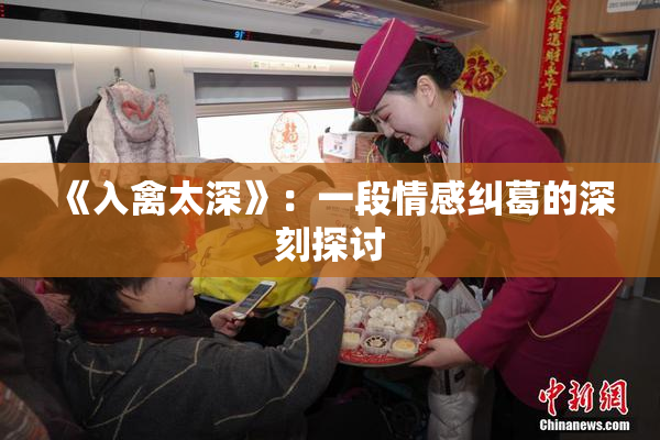 《入禽太深》：一段情感纠葛的深刻探讨