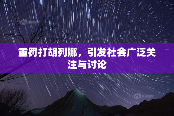 重罚打胡列娜，引发社会广泛关注与讨论