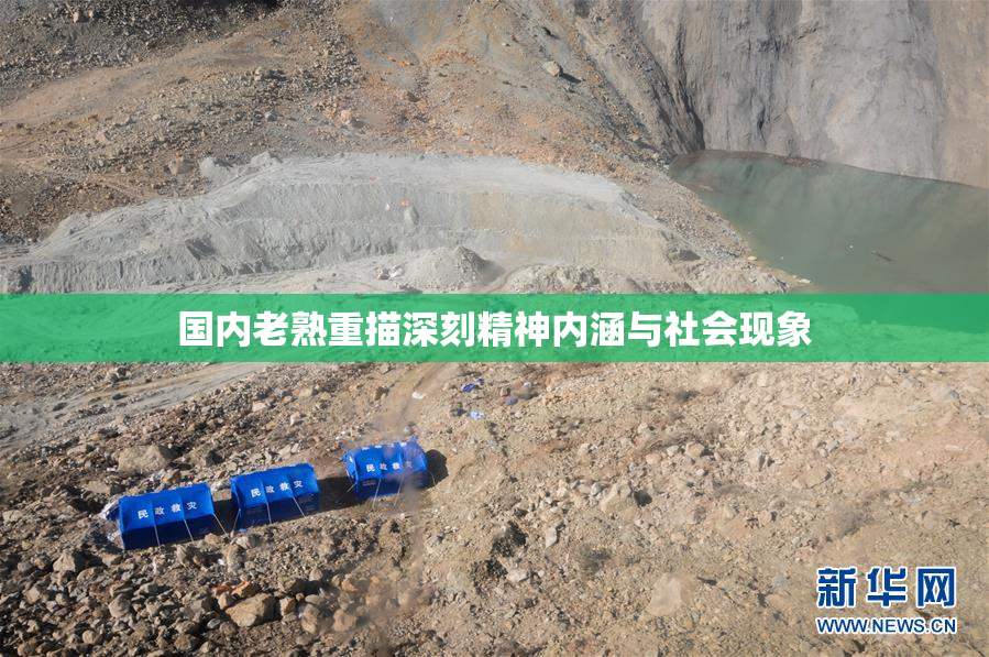 国内老熟重描深刻精神内涵与社会现象
