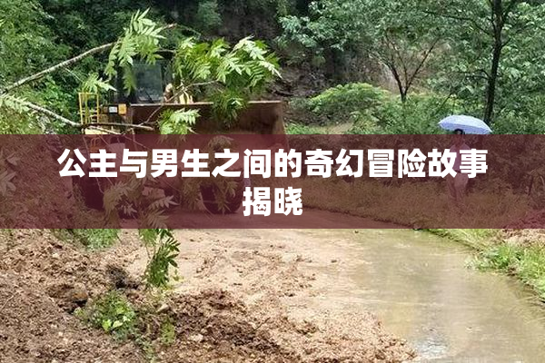 公主与男生之间的奇幻冒险故事揭晓