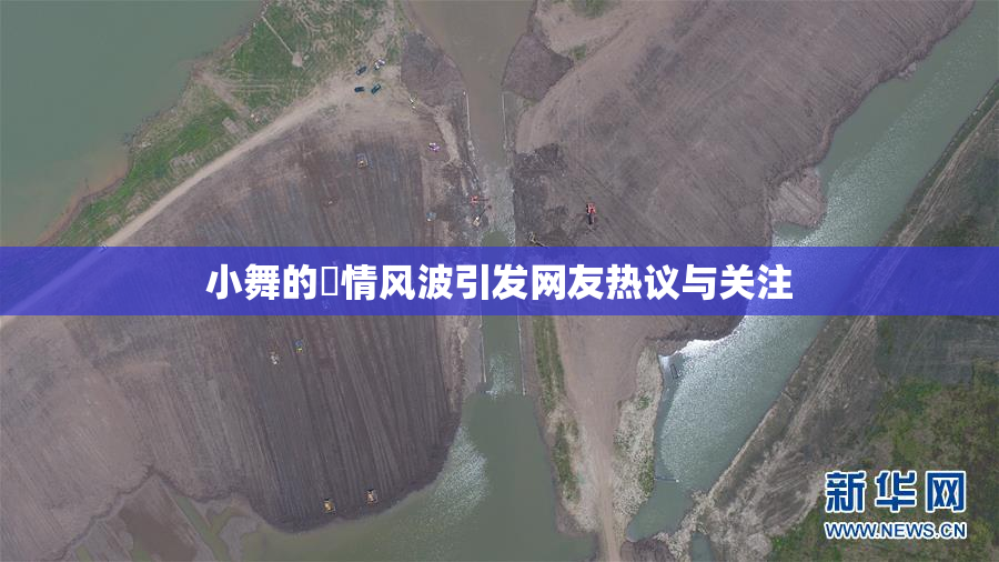 小舞的婬情风波引发网友热议与关注