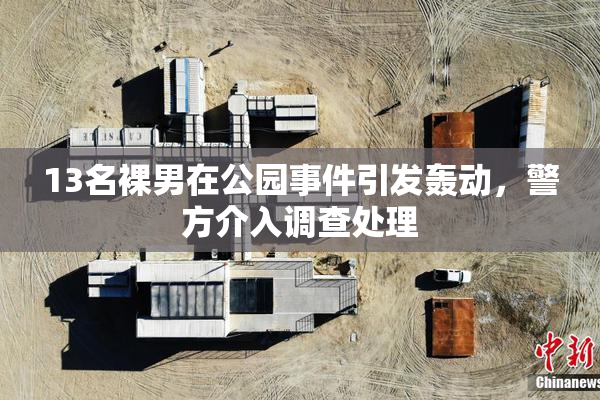 13名裸男在公园事件引发轰动，警方介入调查处理
