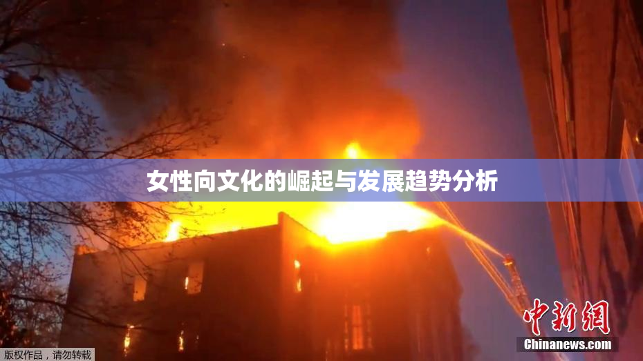 女性向文化的崛起与发展趋势分析