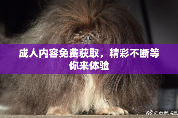 成人内容免费获取，精彩不断等你来体验