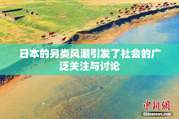 日本的另类风潮引发了社会的广泛关注与讨论